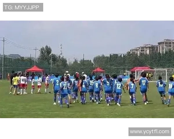 足球明星精彩瞬间拼图集锦,感受绿茵场上英雄们的光辉与激情